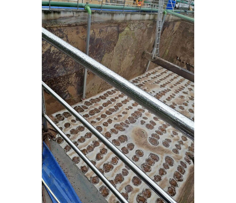 江苏艾勤环保科技有限公司（以下简称“艾勤科技”）是国内知名的曝气器和水处理填料的生产厂家。公司地址位于风景秀丽的太湖之滨、中国的环保之乡——宜兴市凯旋路18号。公司注册资金为1000万元，拥有三千多平方米的自动化生产研发车间。