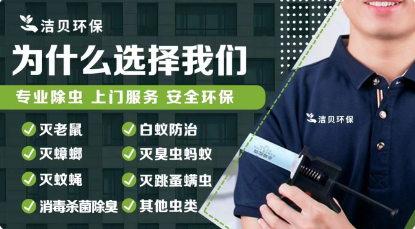成都同城上门提供除四害服务